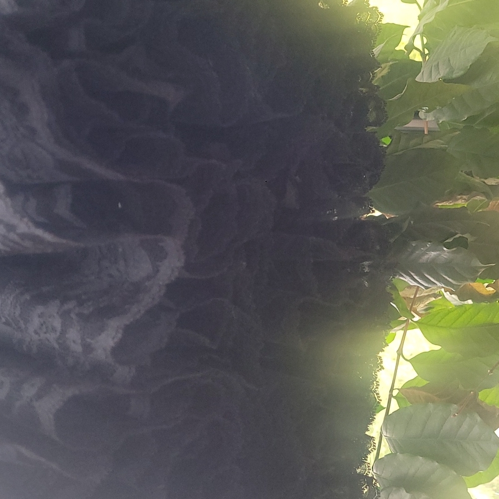 Petticoat Malco Modes Black Size L - image 4